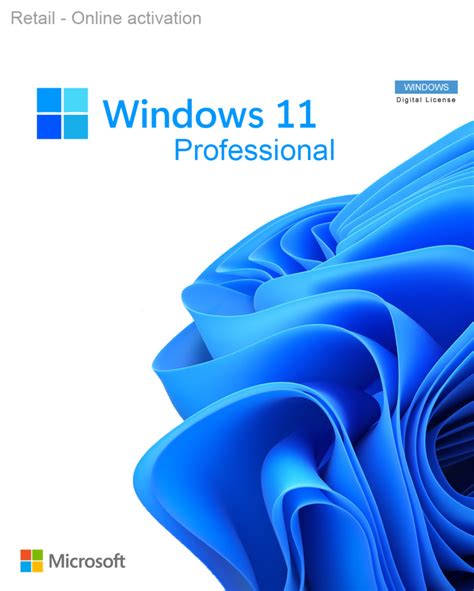 Microsoft Windows 11 Professional Cd Key Instant Delivery At Cjs Cd Keys