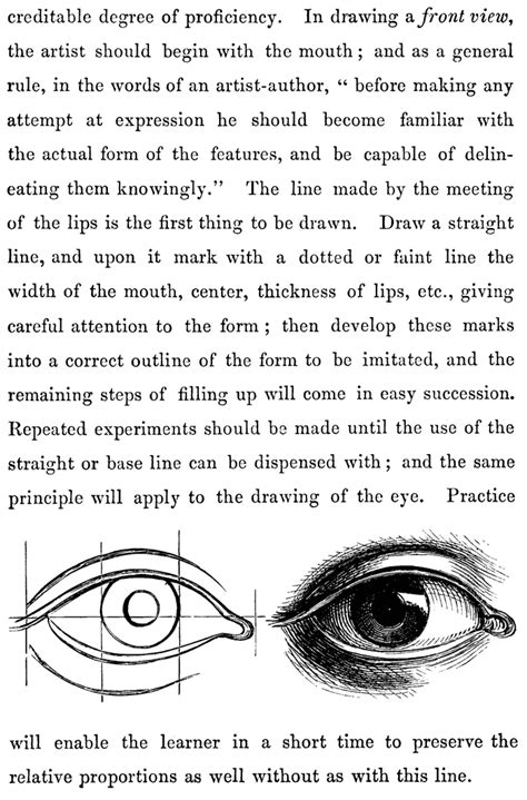 If you view a head from the front, its. Drawing Human Faces and Heads & Features : Lips, Eyes ...