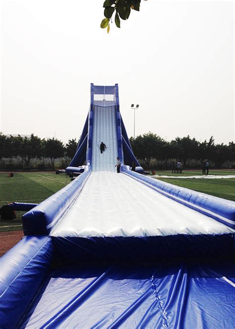 Blue Durable Adult Giant Inflatable Slide Satety Large Blow Up Water Slides