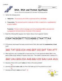 How information in dna can be used to make a protein. Protein Synthesis And Amino Acid Worksheet Answer Key | Kids Activities