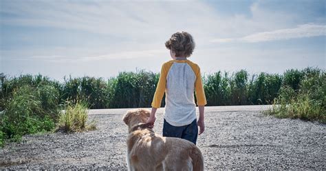 Mile 81 meets n. in this audiobook collaboration between stephen king and his son joe hill. 'In the Tall Grass' Review: In the Heartland, a Field of Screams - The New York Times