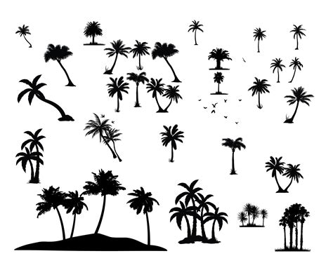 Palmeras Silueta Svg Silueta De Palmeras Palmeras Png Etsy