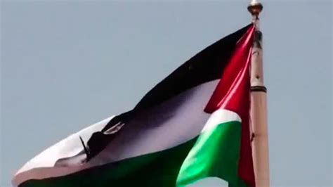 Noruega Irlanda Y Espa A Reconocen A Palestina Como Estado Telediario