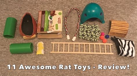 Fun Toys For Rats Wow Blog