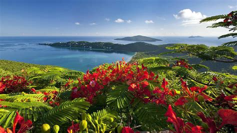 Caribbean Islands Beautiful View Exotic Holiday Wallpaper Hd