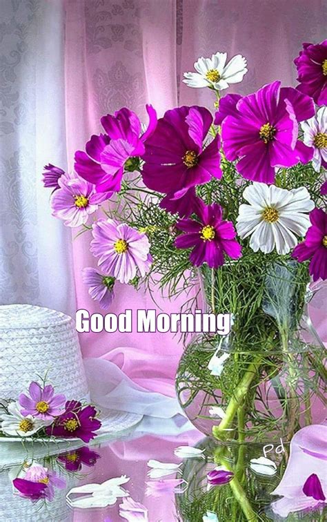 Good Morning Greetings Beautiful Flowers Pictures Beautiful Flower