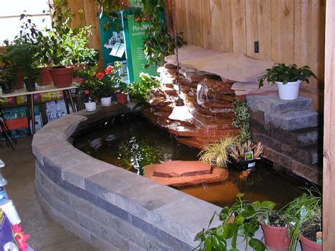 Charming water feature with spurting jets. indoor turtle pond | Garden pond design, Indoor pond ...