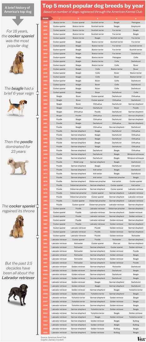 Americas Top Dog How The Most Popular Breeds Have Changed Over Time