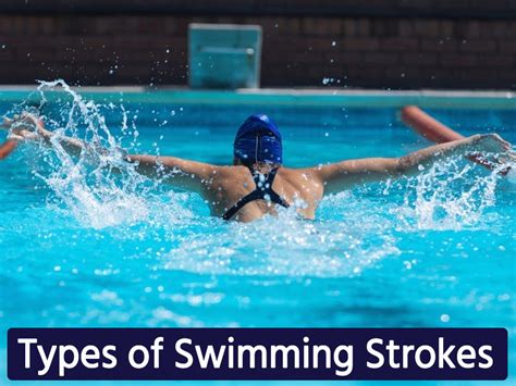 Swimming Strokes Types Swimming Styles Techniques