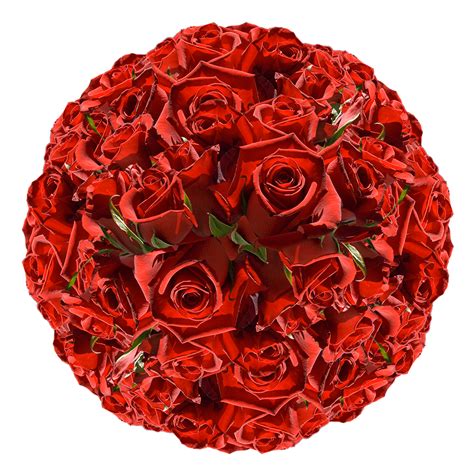 Best Red Roses Flowers Globalrose