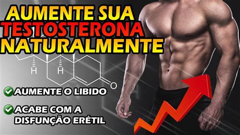 Testosterona Valores E Como Pode Ser Aumentada My Xxx Hot Girl