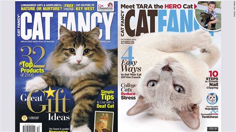 See more ideas about fancy pants, fashion, women. 'Cat Fancy' reinvents itself for the Buzzfeed set