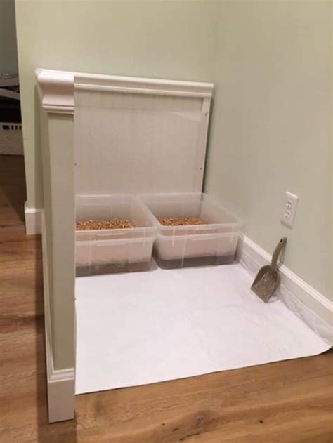 Diy Sifting Litter Boxes Kitty Litter Box Area For Ragdoll Cats Story