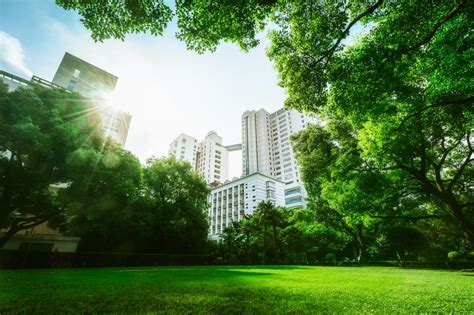 Biophilic Design Takes People And Buildings Back To Nature Latest