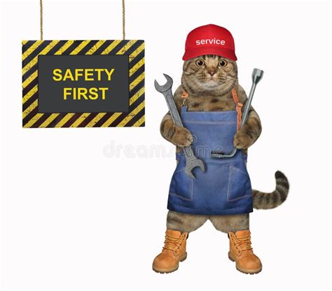 Cat Auto Mechanic With Wrenches Stock Image Image Of Vehicle Worker