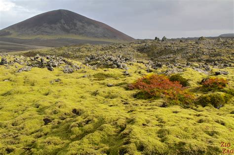 5 Best Lava Fields In Iceland Tips Photos Fascinating
