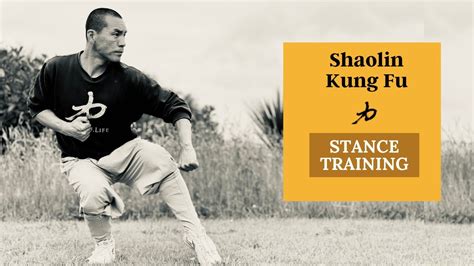 Kung Fu Stances Training Strength Transition Speed And Power Youtube
