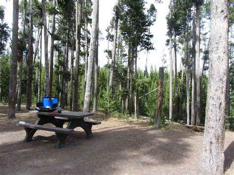 Grant Village Campground Au107 2022 Prices And Reviews Yellowstone