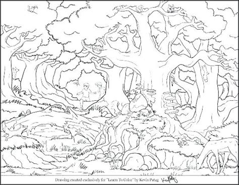 Forest coloring pages are perfect for the young outdoors man. Deciduous Forest Coloring Pages at GetColorings.com | Free ...