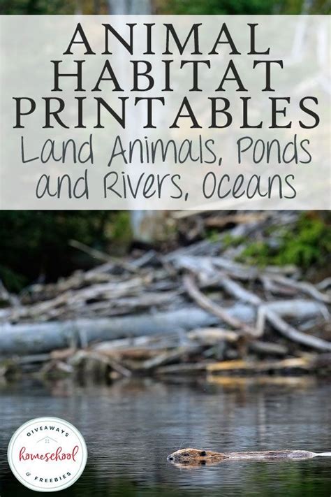 FREE Animal Habitat Printables: Land Animals, Ponds and Rivers, Oceans