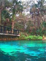 Silver Springs Hotels Florida Images