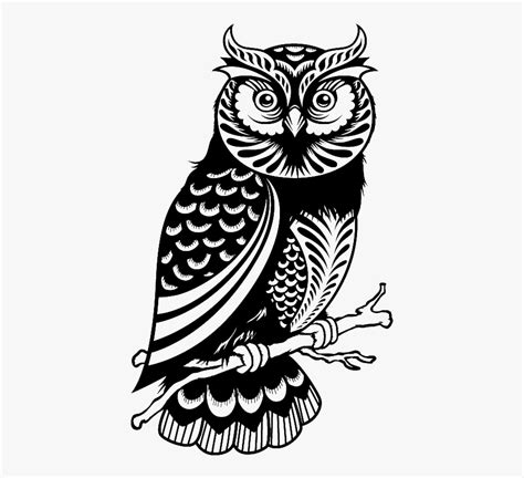 Wise Owl Png Black And White Owl Black And White Owl Owl Png
