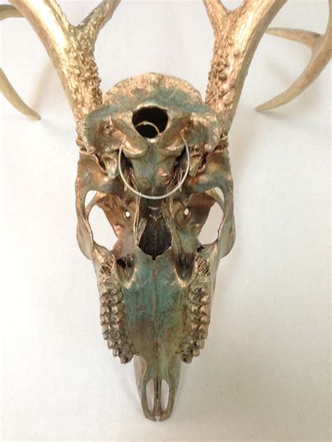 Deer Skull And Antlers Copper With Aqua Patina And Copper