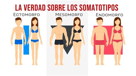 Tipos De Cuerpo Ectomorfo Mesomorfo Y Endomorfo Somatotipos Porn The Best Porn Website