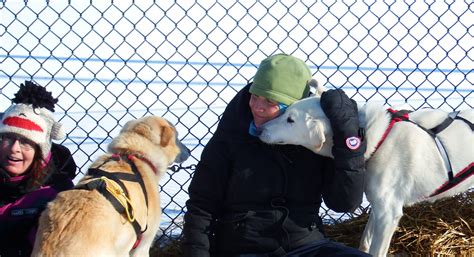 Dr Amanda Glew Winter Chills And Fairs Montreal Dog Blog