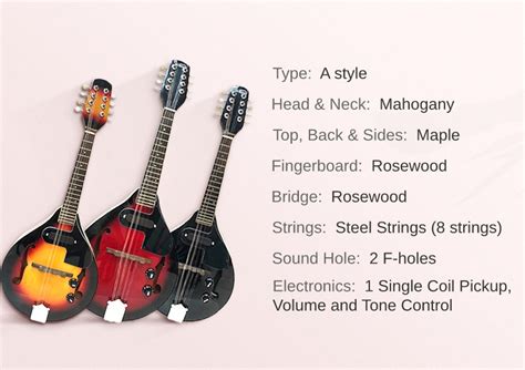 A Style 8 String Acoustic Electric Mandolins Are Coming Soon