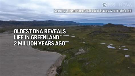 Oldest DNA Reveals Life In Greenland 2M Years Ago