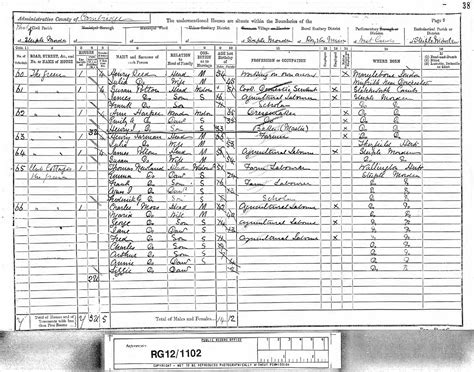 Census 1891 Steeple Morden History