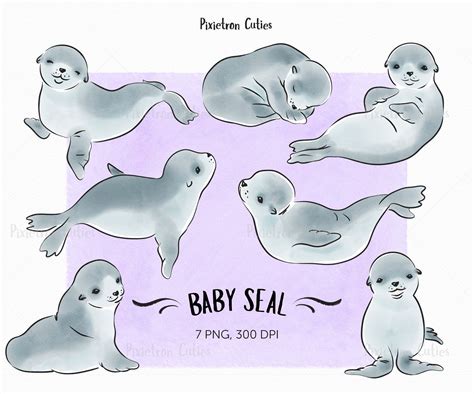 Cute Seal Seal Clipart Stickers Clipart Watercolor Clipart Etsy In