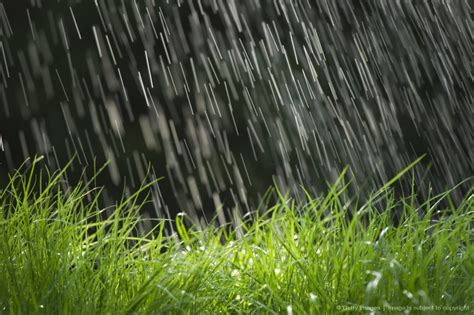 If you have automatic sprinklers, check them regularly to be sure. Rain falling on grass, close up | Rain, Thunderstorm clouds, Galaxy wallpaper