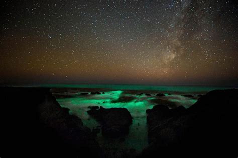 Amazing View Of Bioluminescent Plankton Under The Stars Woahdude