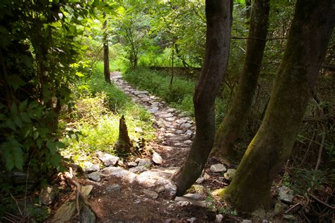 Harmony Hill Nature Area – East Bradford