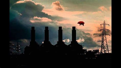 Pink Floyd - Pigs On The Wing / Live (Full version with solo) HD - YouTube