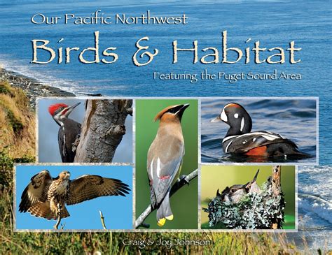 Our Pacific Nw Birds And Habitat Seattle Audubon Nature Shop