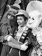 Pinocho (programa de televisión de 1976) Resumen de la tramayElenco