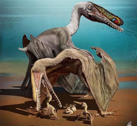 Fossilized Pterosaur Eggs Hold Perfectly Preserved Embryos Inside