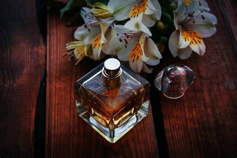 What Ingredients Are In Perfume La Riviere