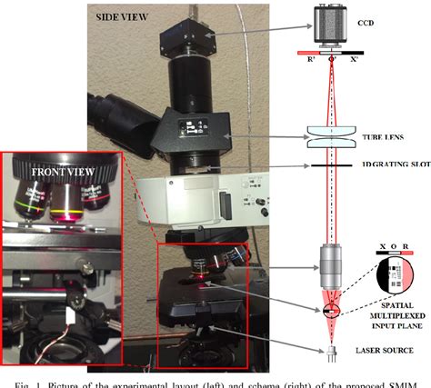 Figure 1 From Spatially Multiplexed Interferometric Microscopy Smim