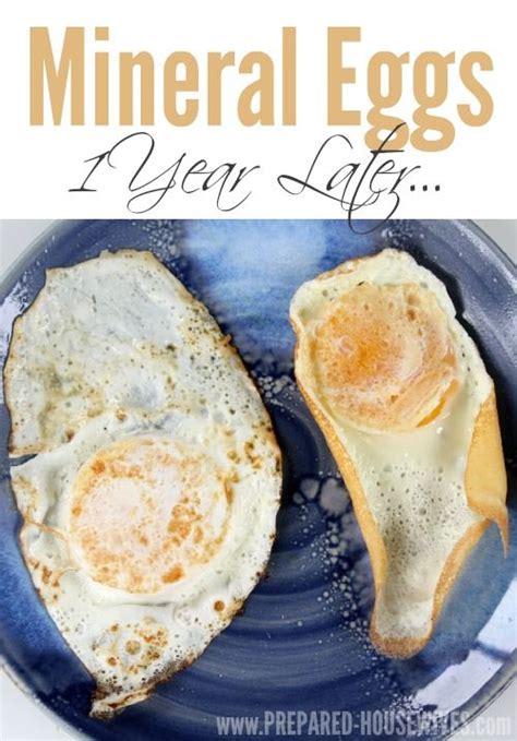 Preserving Eggs With Mineral Oil One Year Later Food Preserving