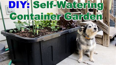 Diy Self Watering Container Garden Youtube