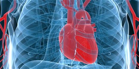 Prezenta de lichid in cantitate mare poate conduce chiar la sindromul de tamponada cardiaca. Péricardite : ce qu'il faut savoir sur cette inflammation ...