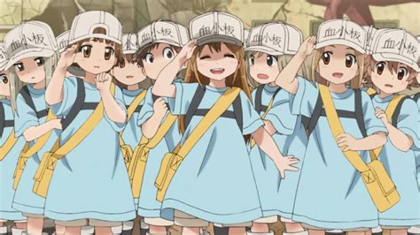 Cells At Work Las Células Hechas Anime Filmsteria