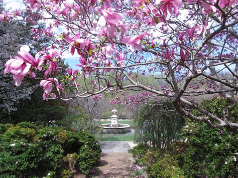 Dumbarton Oaks In April Credit Dumbarton Oaks With This Li Flickr
