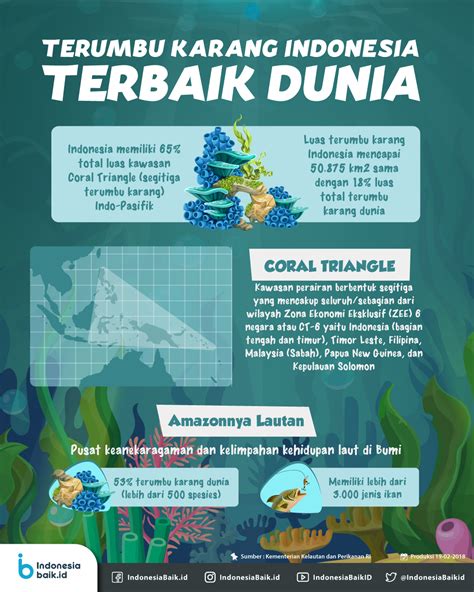 Terumbu Karang Indonesia Terbaik Dunia Indonesia Baik