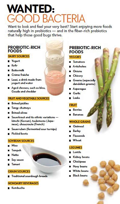 Best Probiotic Foods For Gut Health Best Food A