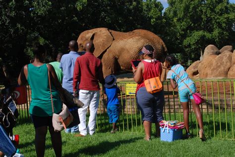 Pretoria Zoo Entrance Fee And Other Prices For 2023